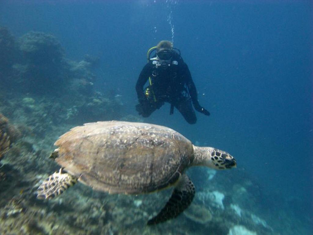 Seribu Resort Thousand Island Kepulauan Seribu Eksteriør billede