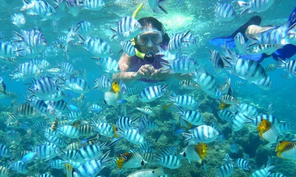 Seribu Resort Thousand Island Kepulauan Seribu Eksteriør billede